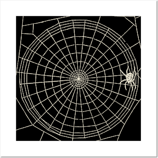 Distressed Spider Web Posters and Art